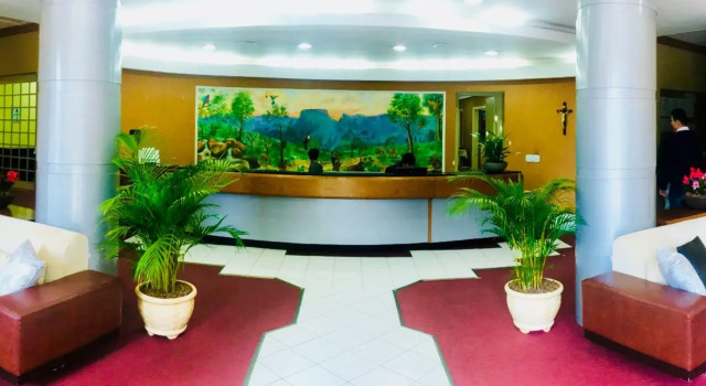 Hotel Platanus