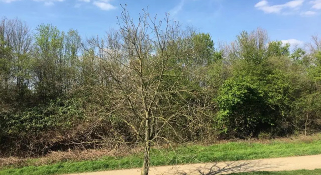 Апартаменты Superior Fair Apartment MAX 33