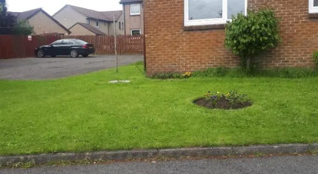 Апартаменты The Nest, Livingston
