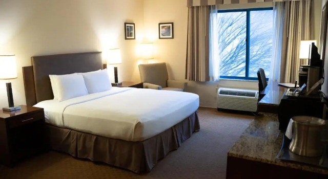 Номер Standard Delta Hotels by Marriott Toledo