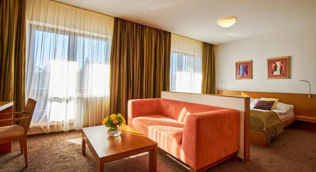 Номер Deluxe Hotel Stupka