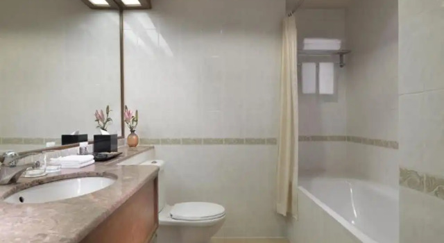 Одноместный номер Deluxe Concorde Hotel Shah Alam