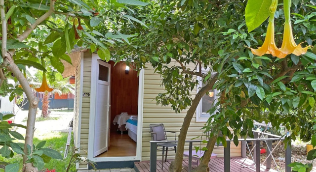 Номер Deluxe Garden Pansiyon Çıralı