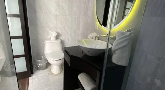 Номер Standard Пентхаус Suites Ganges