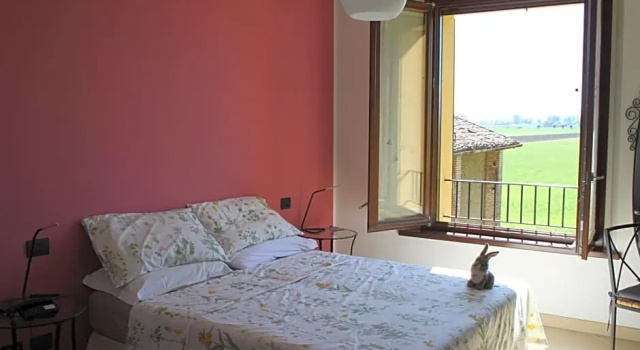 La casa dei gatti, Book Hotel Soragna Emilia-Romagna