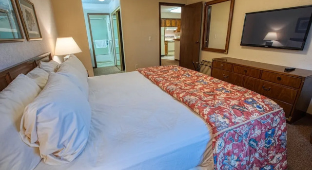 Двухместный люкс Deluxe c 1 комнатой Sophie Station Suites