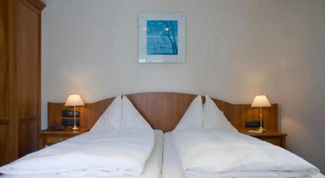 Двухместный номер Standard с видом на озеро Hotel Weisser Hirsch