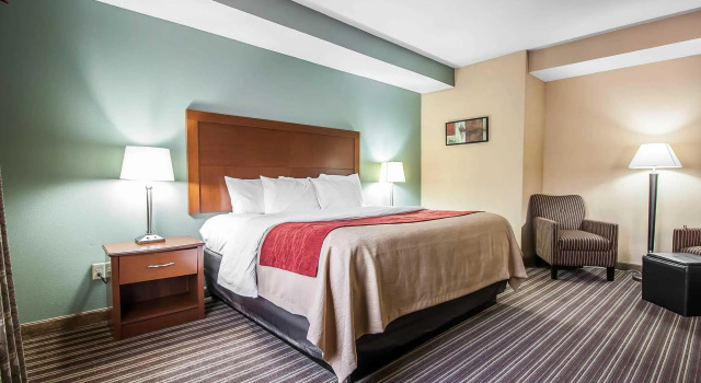 Standard- dobbelt værelse Comfort Inn Jackson
