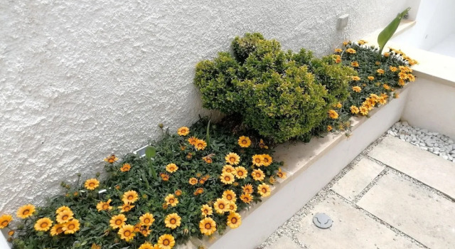 Residence Leucasia