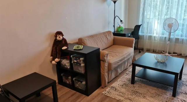 Апартаменты Scandinavian City Apartment