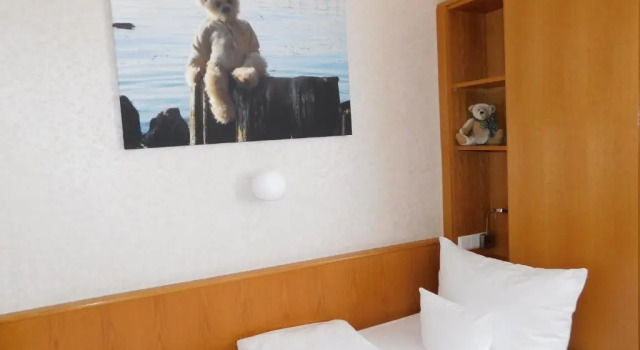 Одноместный номер Standard Teddybärenhotel