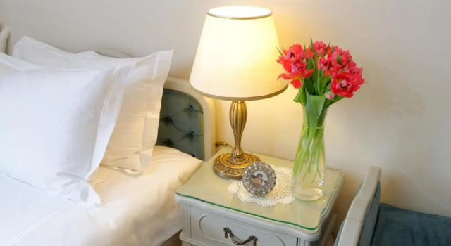 Двухместный номер Standard ApartHotel Vila Minka