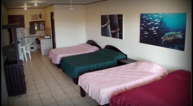 Blue Palm Hotel