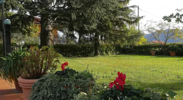 Коттедж c 1 комнатой Independent apartment with a fabulous patio - Casa Penny