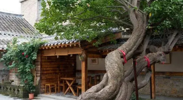 Two Holly Trees Coastal Courtyard Homestay (Yantai Mountain Scenic Area No.1 Bathing Beach)