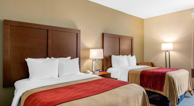 Четырёхместный номер Standard Comfort Inn Chester - Richmond South
