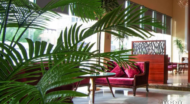 Номер Standard Noon Hotel Suites