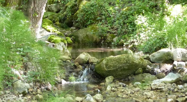 Le Cypressat, Rezervați Hotel Les Plans Languedoc-Roussillon