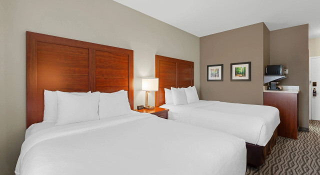 Четырёхместный номер Standard Comfort Inn & Suites