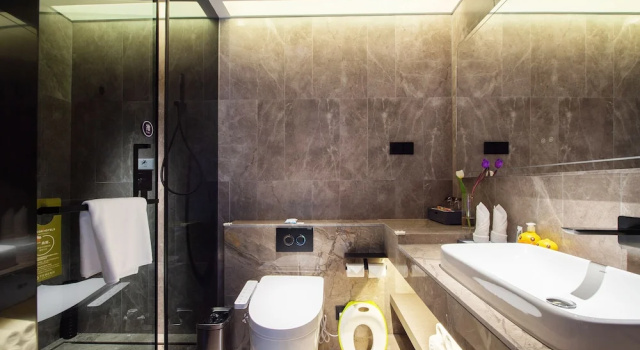 Двухместный номер Deluxe Mercure Harbin Central Street Sophia Church