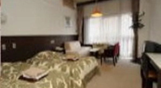 Hashimoto Hotel, Buchen Sie Hotel Shibukawa Gunma