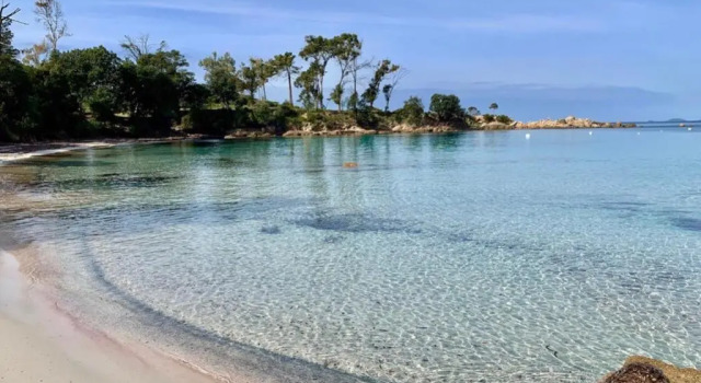 Апартаменты Domaine du Frassu, T2 standing, plage à pied