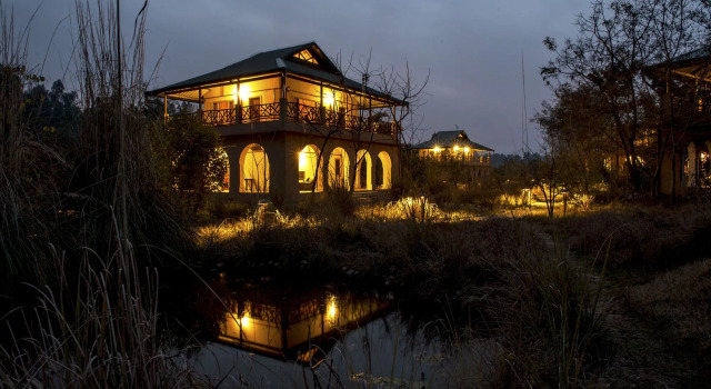 Jim's Jungle Retreat