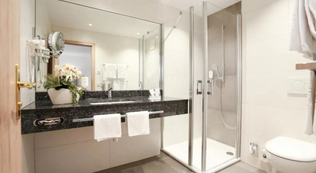Полулюкс Ringhotel Weißer Hirsch