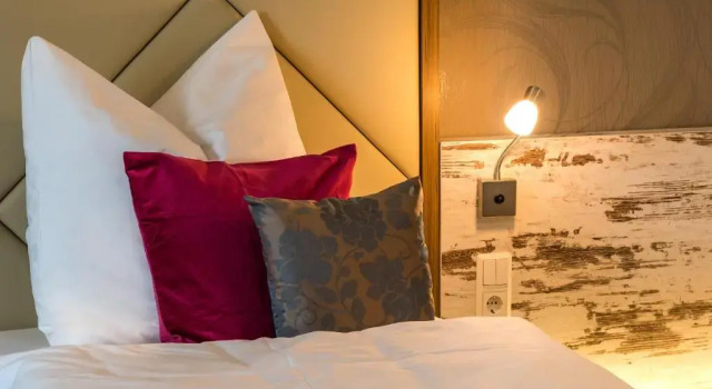 Одноместный номер Deluxe Hotel Allegro