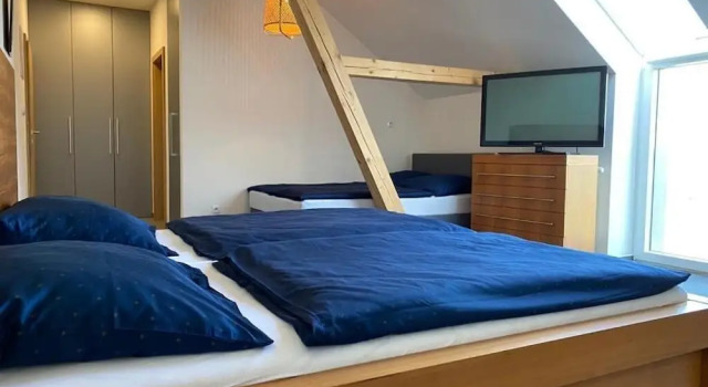 Habitación Estándar Bílichov
