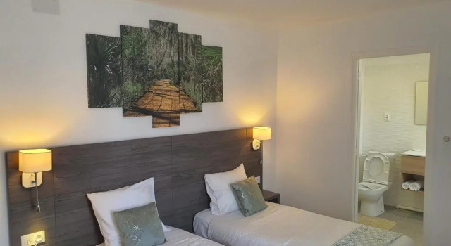 Süper çift kişilik oda Hôtel L'Alsace