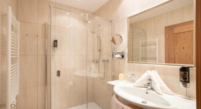 Номер Deluxe Hotel Lenz