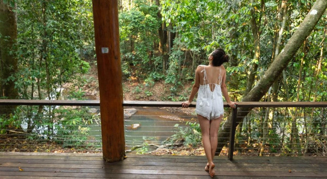 The Canopy Rainforest Treehouses & Wildlife Sanctuary, Book Lejlighed Tarzali Queensland
