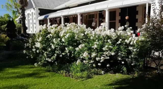 Oude Pastorie, Boek Hotel Cradock Eastern Cape