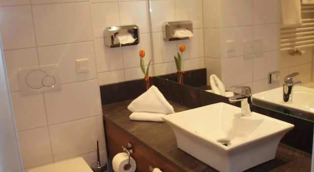 Двухместный номер Standard Hotel Doctor Weinstube
