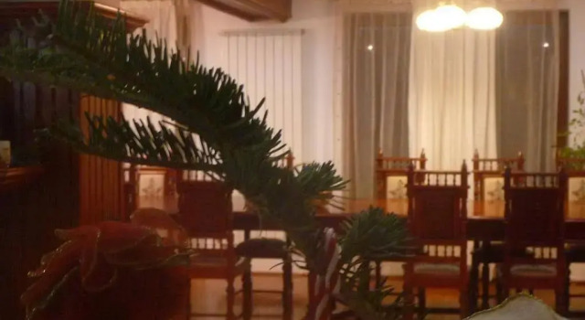 Rapsodia Pension, Rezerwuj Hotel Suceava Suczawa