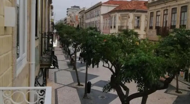 Botica Guesthouse, Book Pension Espinho Prata Coast