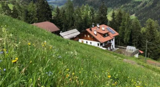 Ringgelinhof Onach
