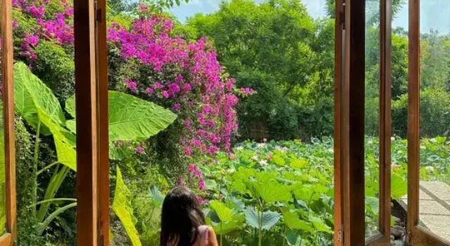 Meilan Meilu · Forest  Healing  Guesthouse, 预订 酒店 成都 四川