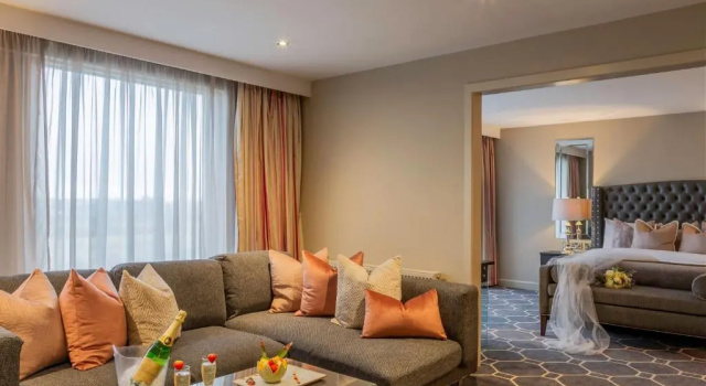 Люкс Presidential Athlone Springs Hotel