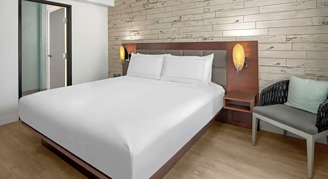 Номер Standard The Fin Hotel, Tapestry Collection by Hilton