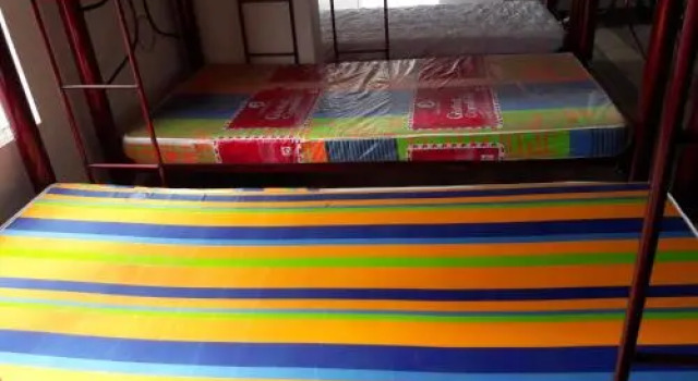 Arrendajos Hostel