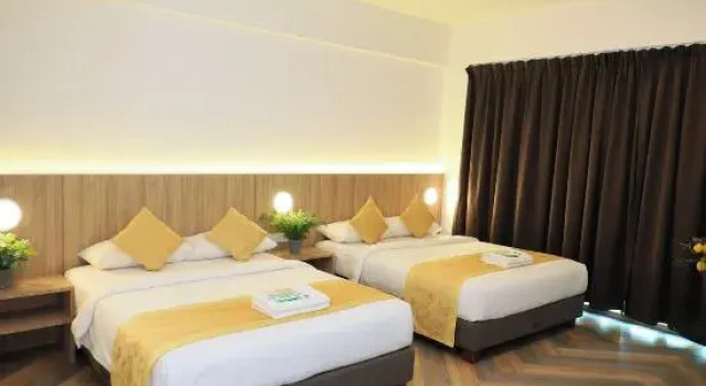 Suite Big Tree Hotel