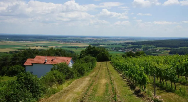 Коттедж Kellerstöckl Weinblick I und II