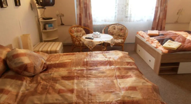 Номер Standard Penzion Vlasta