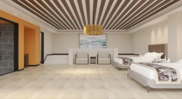 Люкс Business Tianshan Wujiang Hot Spring City Hotel