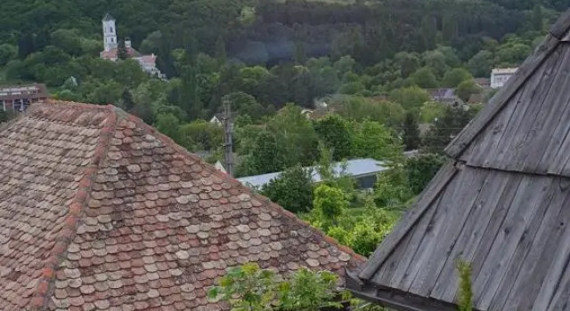Студия Etno Apartment Vrdnik
