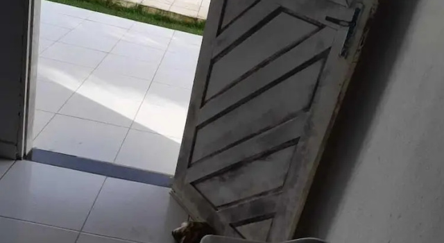 Коттедж Chacara So Alegria em Parnamirim