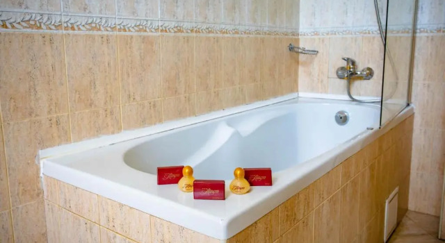 Двухместный номер Standard с красивым видом из окна Alegro Hotel