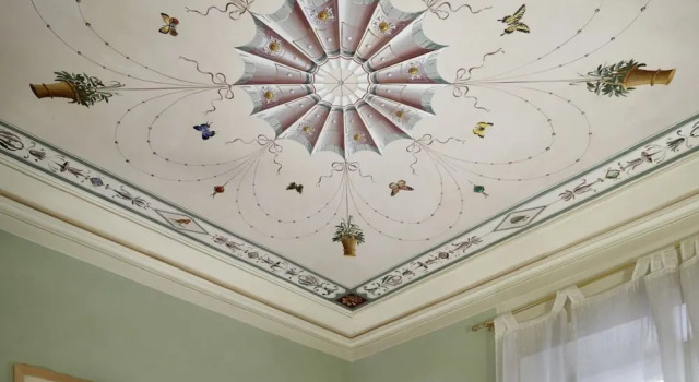 The Butterflies